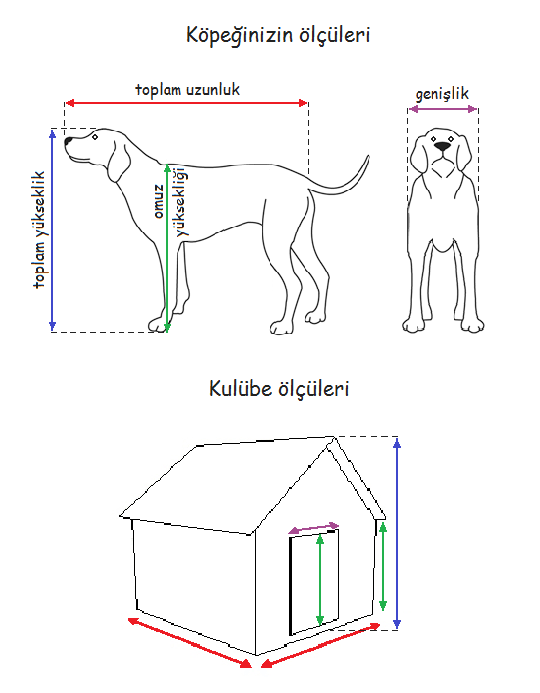 köpek klübesi ölçüleri